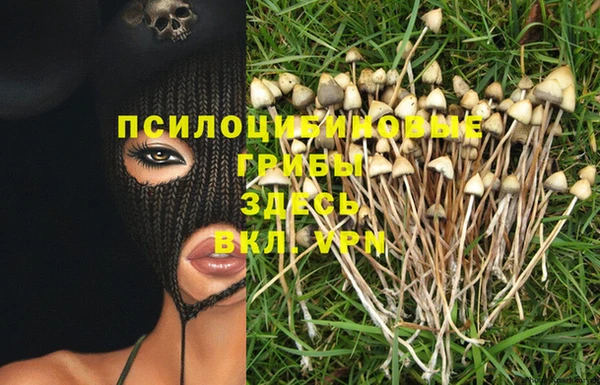 ГАЛЛЮЦИНОГЕННЫЕ ГРИБЫ Алзамай